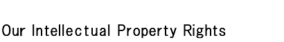 Our Intellectual Property Rights